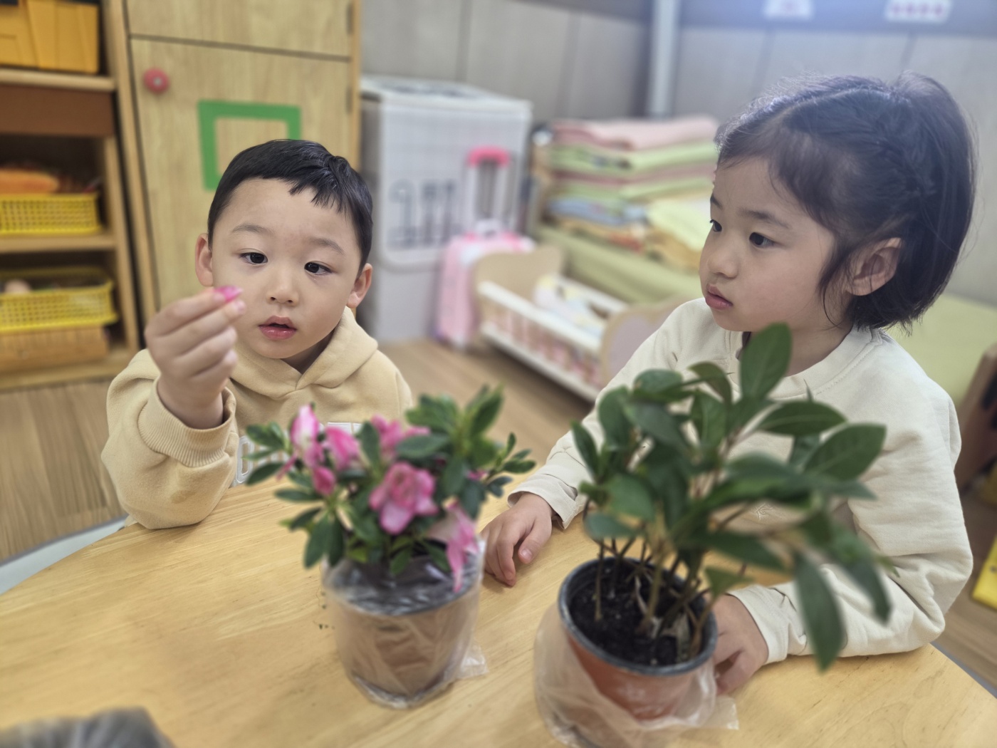 4.3.(금) 식목일 - 나만의 꽃나무